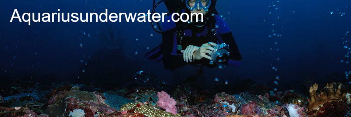 aquariusunderwater.com